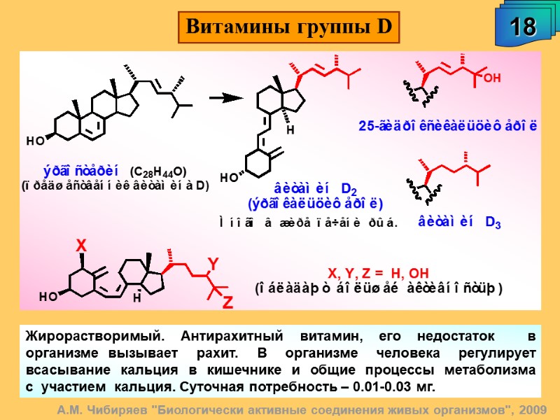 А.М. Чибиряев 